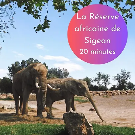 Διαμέρισμα Cachette Secrete &